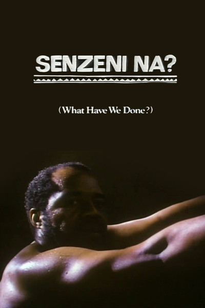 Póster de Senzeni Na?