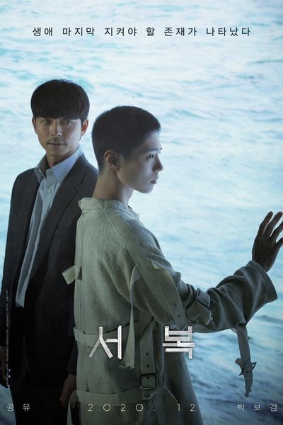 Póster de Seobok