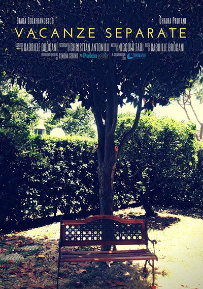 Póster de Separate Vacations