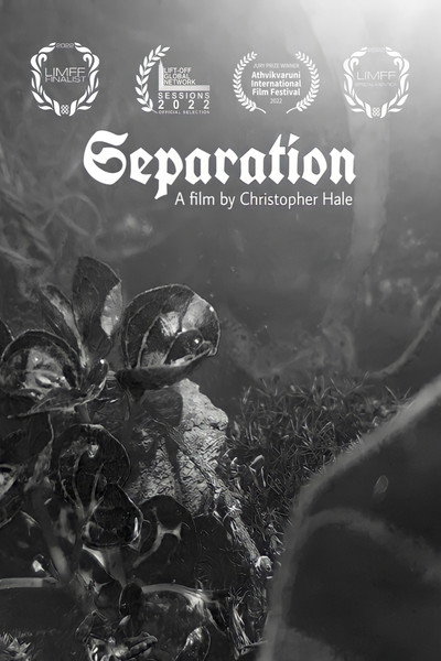Póster de Separation