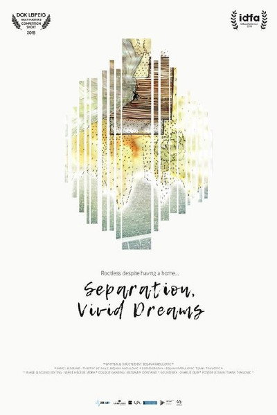 Póster de Separation, Vivid Dreams