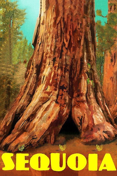 Póster de Sequoia