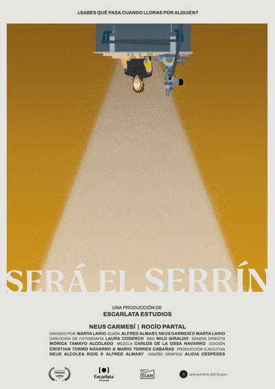 Póster de Será el serrín