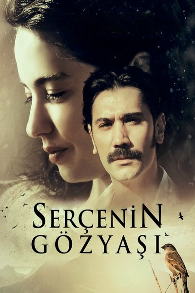 Póster de Serçenin Gözyasi