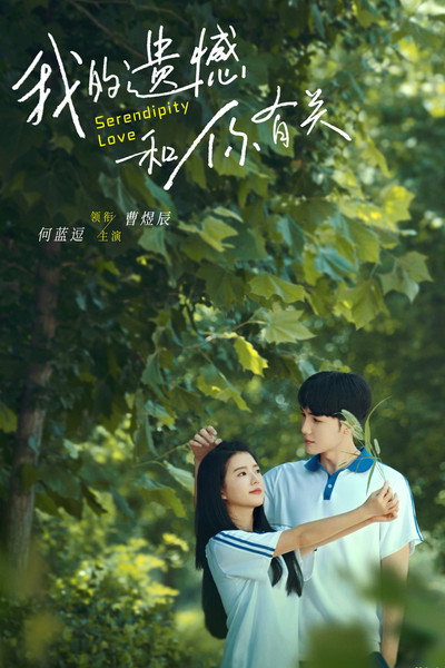 Póster de Serendipity Love