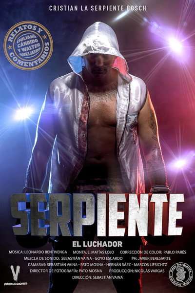 Póster de Serpiente el luchador