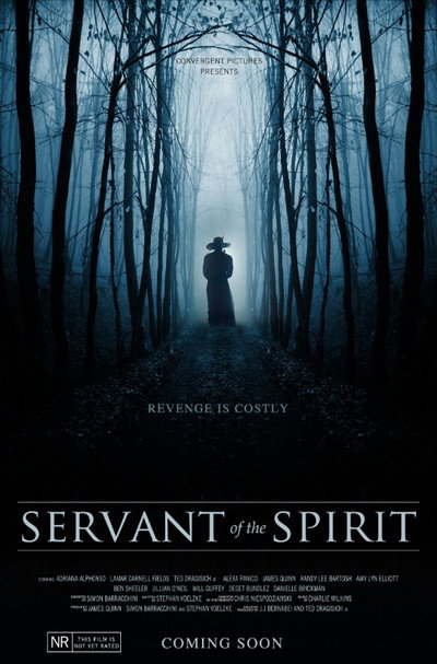 Póster de Servant of the Spirit