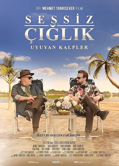 Póster de Sessiz Ciglik