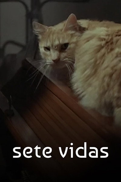 Póster de Sete Vidas
