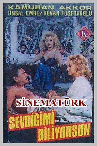 Póster de Sevdigimi Biliyorsun
