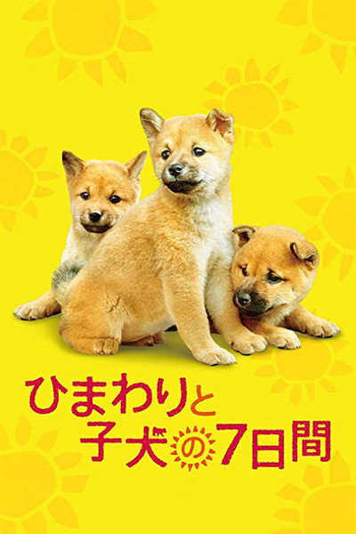 Póster de Seven Days of Himawari and Her Puppies