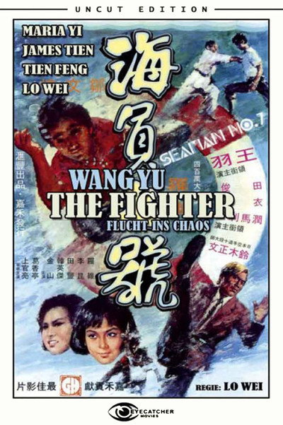 Póster de Seven Magnificent Fights