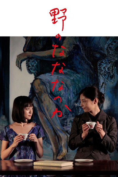 Póster de Seven Weeks