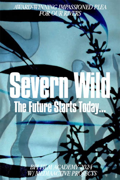 Póster de Severn Wild
