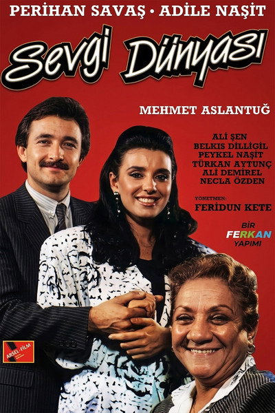 Póster de Sevgi dünyasi