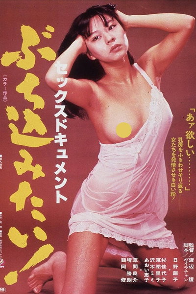 Póster de Sex-document: Buchikomitai