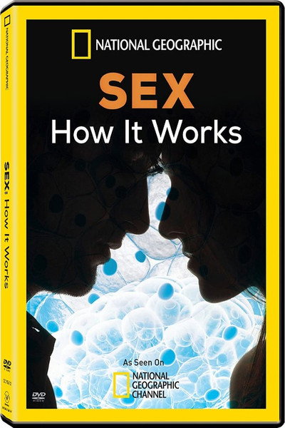 Póster de Sex: How It Works