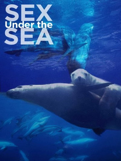 Póster de Sex Under the Sea
