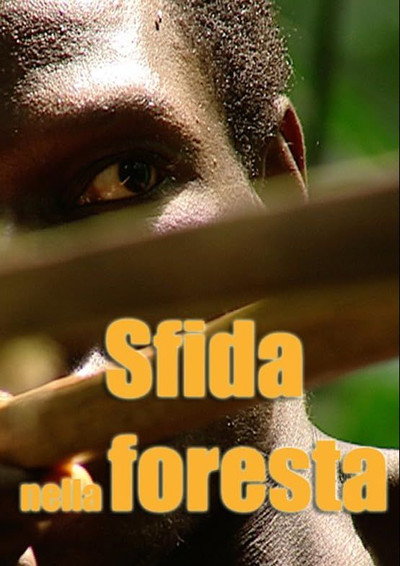 Póster de Sfida nella foresta