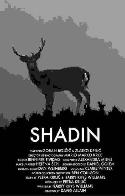Póster de Shadin