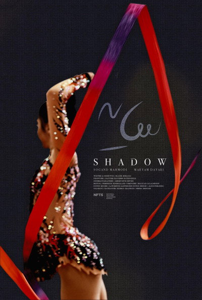 Póster de Shadow