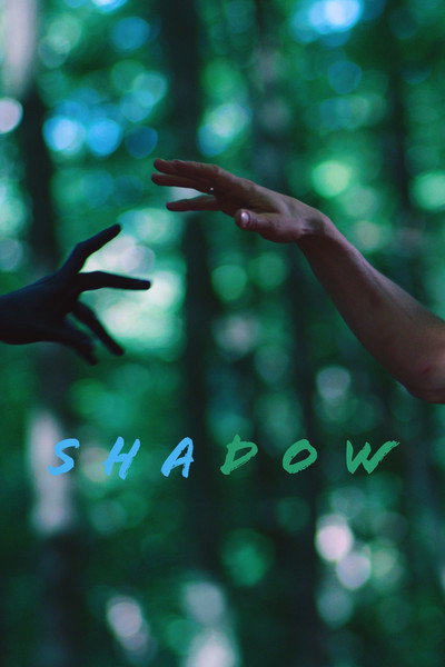 Póster de Shadow