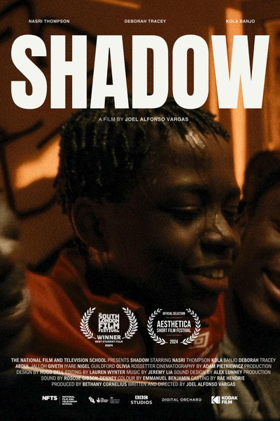 Póster de Shadow