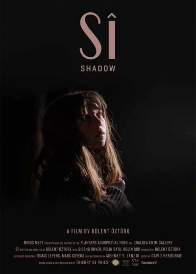 Póster de Shadow