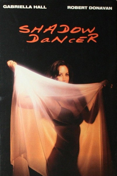 Póster de Shadow Dancer