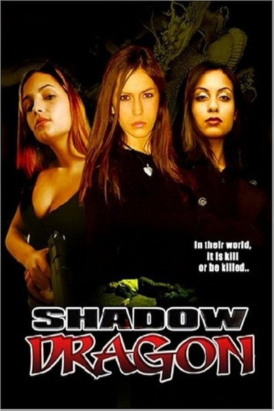 Póster de Shadow Dragon