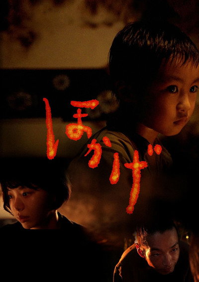 Póster de Shadow of Fire