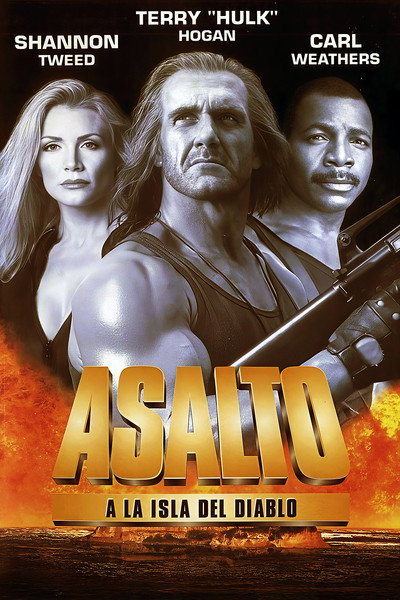 Póster de Shadow warrios