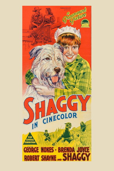 Póster de Shaggy