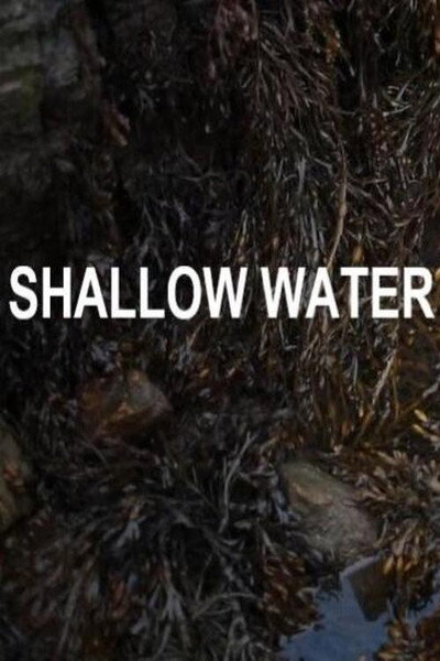 Póster de Shallow Water