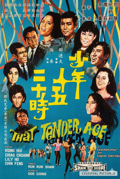Póster de Shao nian shi wu er shi shi