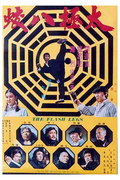 Póster de Shaolin Deadly Kicks
