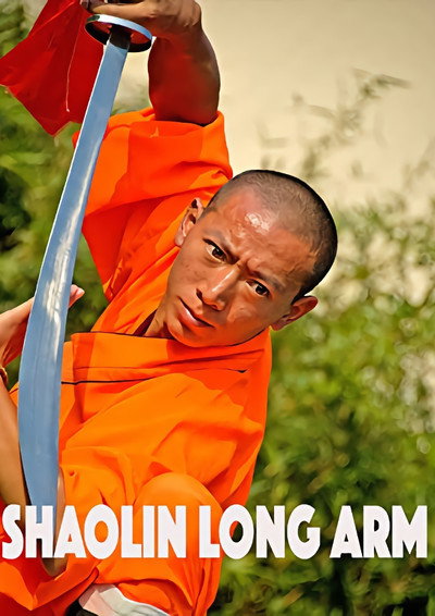 Póster de Shaolin Long Arm