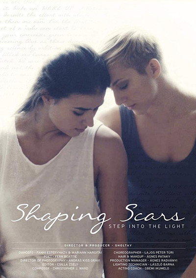 Póster de Shaping Scars
