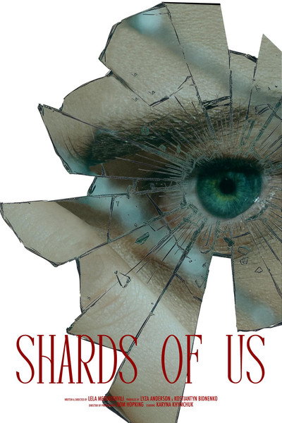 Póster de Shards of Us