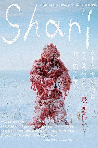 Póster de Shari