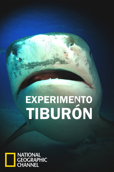 Póster de Shark Attack Experiment Live