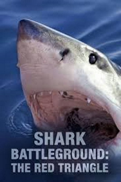 Póster de Shark Battleground: Red Triangle