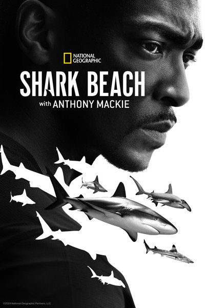 Póster de Shark Beach with Anthony Mackie