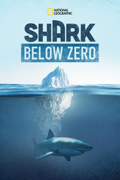 Póster de Shark Below Zero