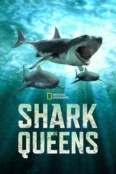 Póster de Shark Queens