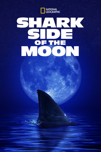 Póster de Shark Side of the Moon