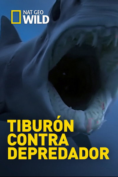 Póster de Shark vs. Predator