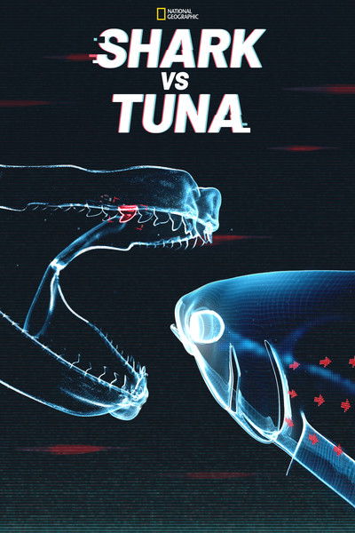 Póster de Shark vs Tuna