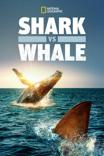 Póster de Shark vs. Whale