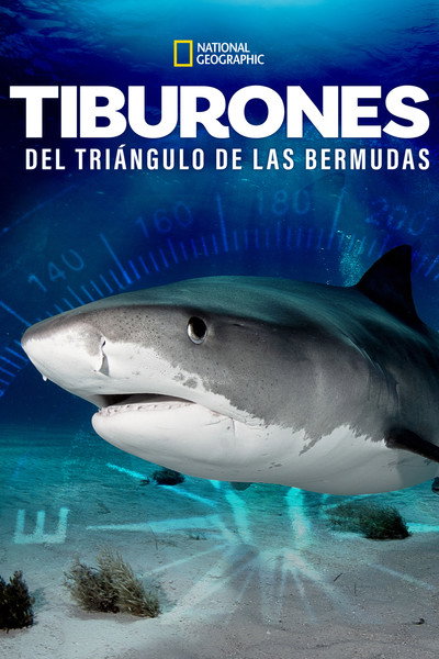 Póster de Sharks of the Bermuda Triangle